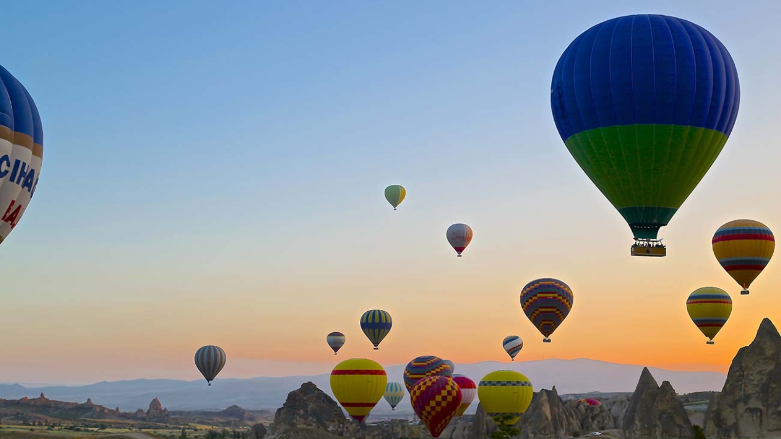 Grow Your Relationships and Thrive